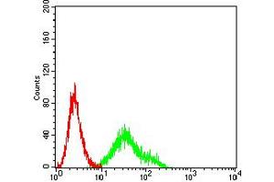 Flow cytometric analysis of Ramos cells using CD167 mouse mAb (green) and negative control (red). (DDR1 antibody  (AA 21-176))