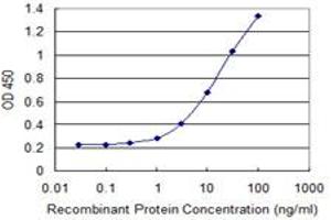 RASSF9 antibody  (AA 1-435)