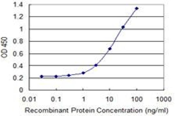 RASSF9 antibody  (AA 1-435)
