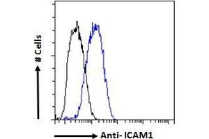 Flow Cytometry (FACS) image for anti-Intercellular Adhesion Molecule 1 (ICAM1) (AA 313-327) antibody (ABIN2613438)