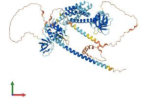 AlphaFold protein structure predicition of Human Recombinant ARHGEF6 Protein, UniprotID Q15052