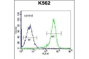 Flow cytometric analysis of K562 cells (right histogram) compared to a negative control cell (left histogram).