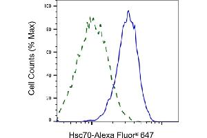 Validation of Hsc70 knockdown using flow cytometry.
