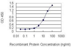 Detection limit for recombinant GST tagged MYH3 is 0. (MYH3 antibody  (AA 2-100))
