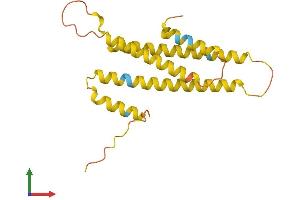 AlphaFold protein structure predicition of Human Recombinant C17orf107 Protein, UniprotID Q6ZR85