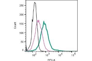 Cell surface detection of CD9 by direct flow cytometry in live intact mouse J774 macrophage cell line: + Rabbit IgG Isotype Control-FITC (ABIN7582044). (CD9 antibody  (Extracellular) (FITC))