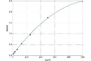 Fibrillin 1 (FBN1) ELISA Kit
