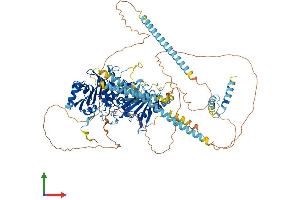 AlphaFold protein structure predicition of Human Recombinant MORC3 Protein, UniprotID Q14149