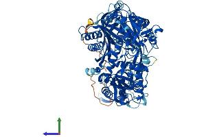 Protein Structure (PS) image for Eukaryotic Translation Initiation Factor 2C, 1 (EIF2C1) (AA 1-857) protein (His tag) (ABIN7551960)