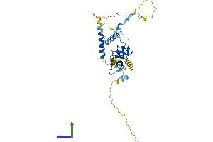 AlphaFold protein structure predicition of Human Recombinant EAPP Protein, UniprotID Q56P03