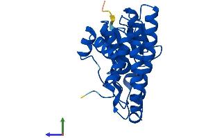 AlphaFold protein structure predicition of Mouse Recombinant Gstm5 Protein, UniprotID P48774 (GSTM5 Protein (AA 1-224) (His tag))
