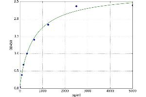 Thymidine Phosphorylase (TYMP) ELISA Kit