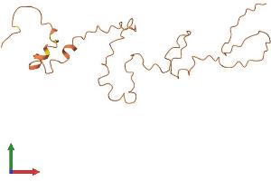 AlphaFold protein structure predicition of Human Recombinant KRTAP4-5 Protein, UniprotID Q9BYR2