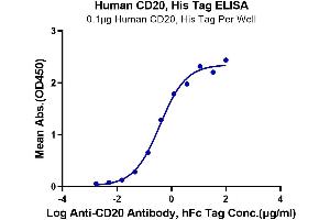 Immobilized CD20, His Tag at 1 μg/mL (100 μL/well) on the plate. (CD20 Protein (AA 141-188) (His-Avi Tag))