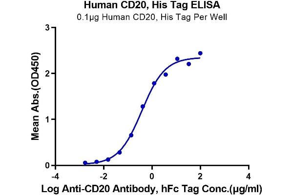 CD20 Protein (AA 141-188) (His-Avi Tag)