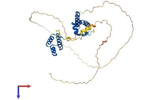 POU4F3 Protein (AA 1-338) (His tag)