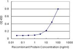 Sandwich ELISA detection sensitivity ranging from 3 ng/mL to 100 ng/mL. (BATF (Human) Matched Antibody Pair)