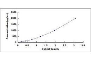 ELISA image for Leukemia Inhibitory Factor (LIF) ELISA Kit (ABIN414891)