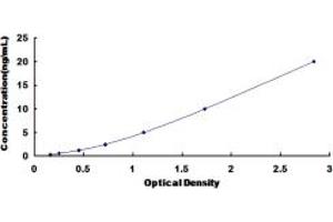 Typical standard curve (COL12A1 ELISA Kit)