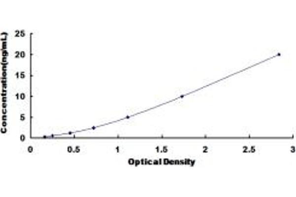 COL12A1 ELISA Kit