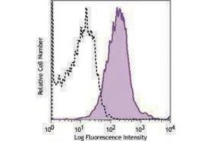 Flow Cytometry (FACS) image for anti-CD1d Molecule (CD1D) antibody (ABIN2664354) (CD1d antibody)