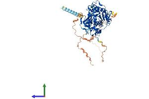 AlphaFold protein structure predicition of Human Recombinant MGAT3 Protein, UniprotID Q09327