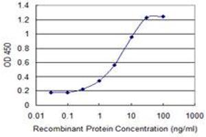 MBD3L1 antibody  (AA 1-109)