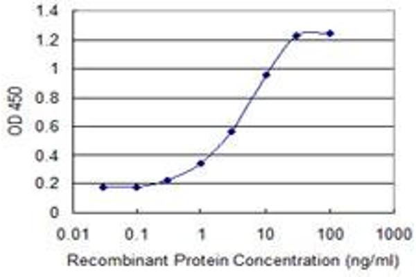 MBD3L1 antibody  (AA 1-109)