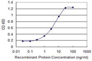 Detection limit for recombinant GST tagged MBD3L1 is 0. (MBD3L1 antibody  (AA 1-109))