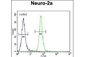 TMEM65 Antibody (N-term) (ABIN654318 and ABIN2844101) flow cytometric analysis of Neuro-2a cells (right histogram) compared to a negative control cell (left histogram). (TMEM65 antibody  (N-Term))