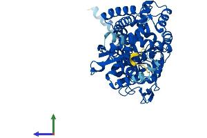AlphaFold protein structure predicition of Human Recombinant PTGIS Protein, UniprotID Q16647