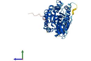 Protein Structure (PS) image for Chitobiosyldiphosphodolichol beta-Mannosyltransferase (ALG1) (AA 1-482) protein (His tag) (ABIN7560201)