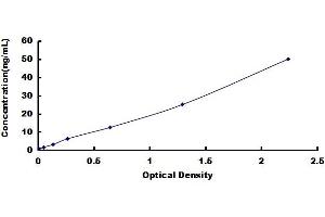 Notch 2 N-terminal Like (NOTCH2NL) ELISA Kit