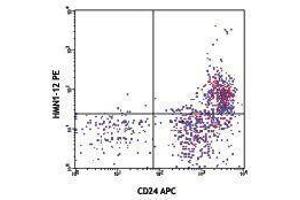 Flow Cytometry (FACS) image for anti-Notch 1 (NOTCH1) antibody (PE) (ABIN2663854) (Notch1 antibody  (PE))