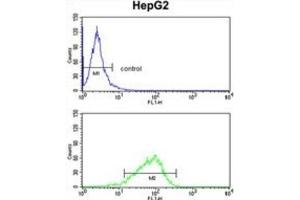 Flow Cytometry (FACS) image for anti-Glycerol-3-Phosphate Dehydrogenase 1 (Soluble) (GPD1) antibody (ABIN3003779) (GPD1 antibody)