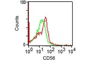FACS analysis of CD56 on human monocytes using NCAM / CD56 antibody (123C3. (CD56 antibody)