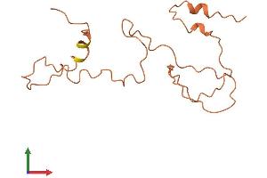 AlphaFold protein structure predicition of Human Recombinant KRTAP9-4 Protein, UniprotID Q9BYQ2