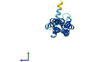 Protein Structure (PS) image for Transmembrane Protein 126A (TMEM126A) (AA 1-195) protein (His tag) (ABIN7544097)