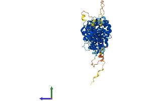 Protein Structure (PS) image for serum Amyloid A-Like 1 (SAAL1) (AA 1-474) protein (His tag) (ABIN7551719)