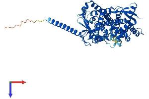 CYP4F3 Protein (AA 1-520) (His tag)