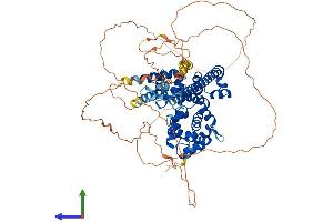 AlphaFold protein structure predicition of Mouse Recombinant Tbc1d12 Protein, UniprotID Q6A039