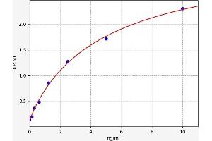 Typical standard curve (DDAH2 ELISA Kit)