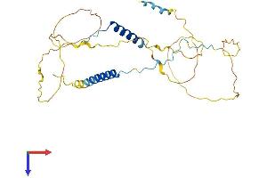 AlphaFold protein structure predicition of Human Recombinant PRR18 Protein, UniprotID Q8N4B5 (Proline Rich 18 Protein (PRR18) (AA 1-295) (His tag))