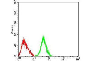 Flow cytometric analysis of Jurkat cells using CD122 mouse mAb (green) and negative control (red). (IL2 Receptor beta antibody  (AA 27-240))