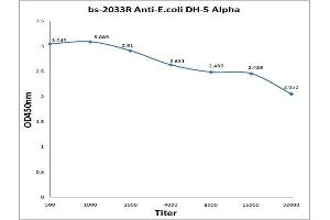 Antigen: 0. (E.Coli Dh-5 alpha antibody)