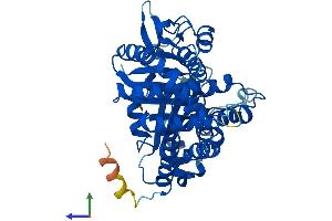 Protein Structure (PS) image for Tubulin, beta 5 (TUBB5) (AA 1-444) protein (His tag) (ABIN7556844)