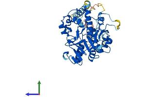 AlphaFold protein structure predicition of Mouse Recombinant A4galt Protein, UniprotID Q67BJ4