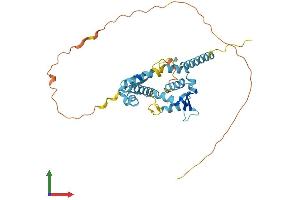 AlphaFold protein structure predicition of Mouse Recombinant Ndn Protein, UniprotID P25233