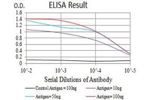 Black line: Control Antigen (100 ng),Purple line: Antigen (10 ng), Blue line: Antigen (50 ng), Red line:Antigen (100 ng) (CHRNA7 antibody  (AA 52-259))