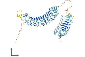 AlphaFold protein structure predicition of Human Recombinant LRRC40 Protein, UniprotID Q9H9A6